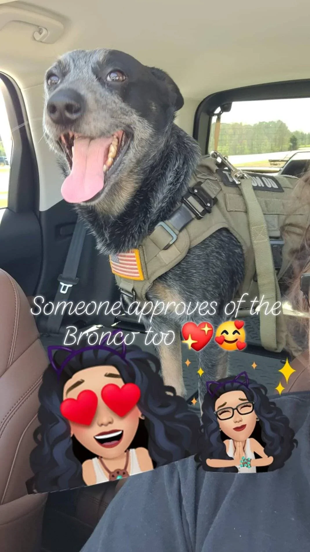 Ford Bronco Sport Show me your dogs!! E06AF685-8219-467E-B7F5-1B46AC851444