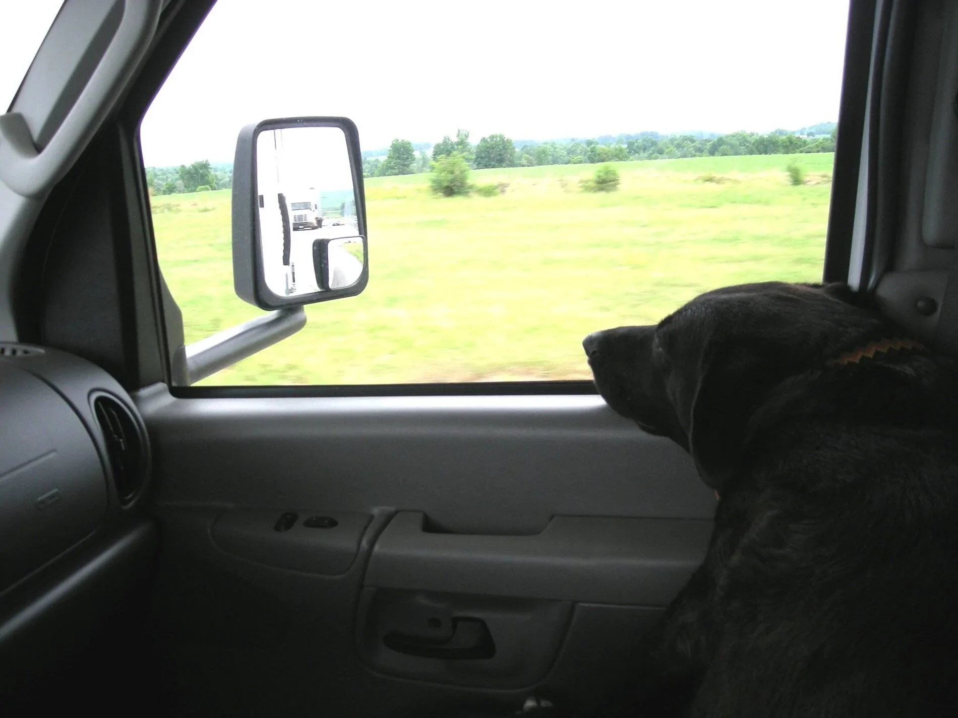 Ford Bronco Sport Show me your dogs!! Dscn0096