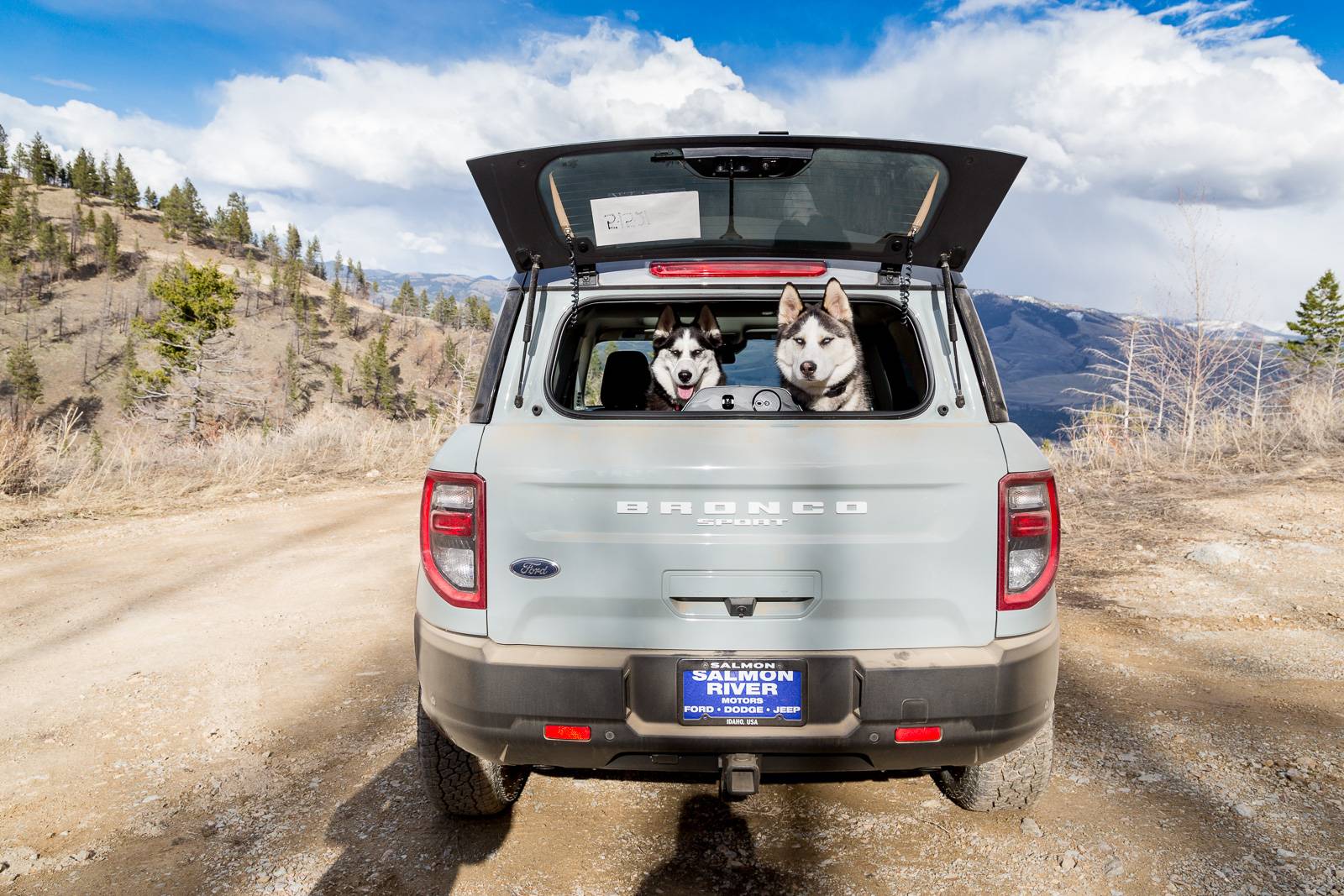 Ford Bronco Sport Show me your dogs!! 20210411_BroncoSport-9