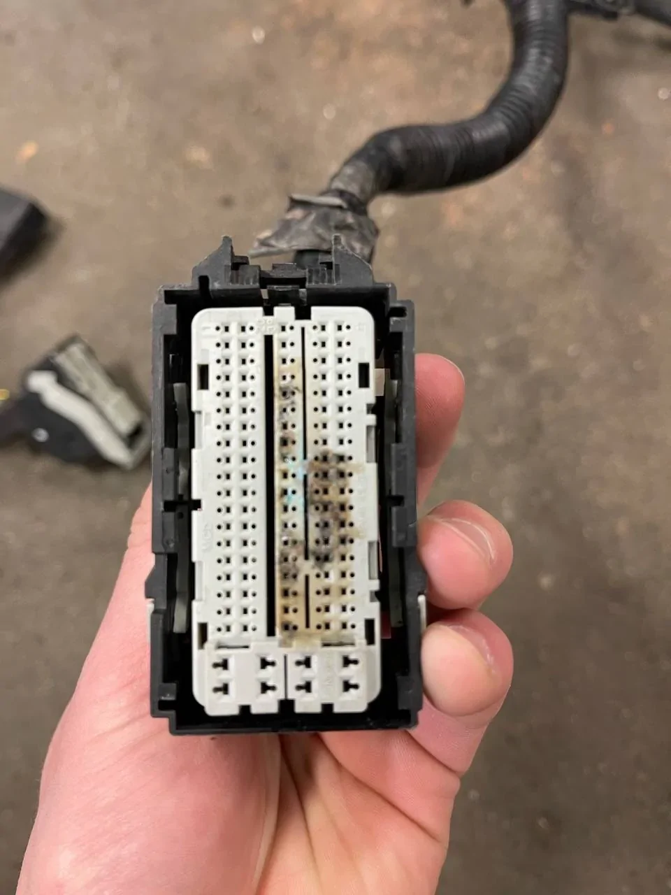 Ford Bronco Sport Bronco Sport Badlands dies crossing 20" of Water IMG_20210427_084325