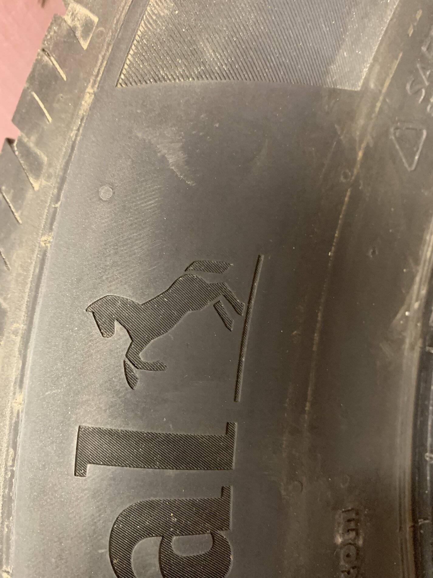 Ford Bronco Sport anyone finding some of the easter eggs 3E58114A-E06F-451F-B106-32F0334E3E4B