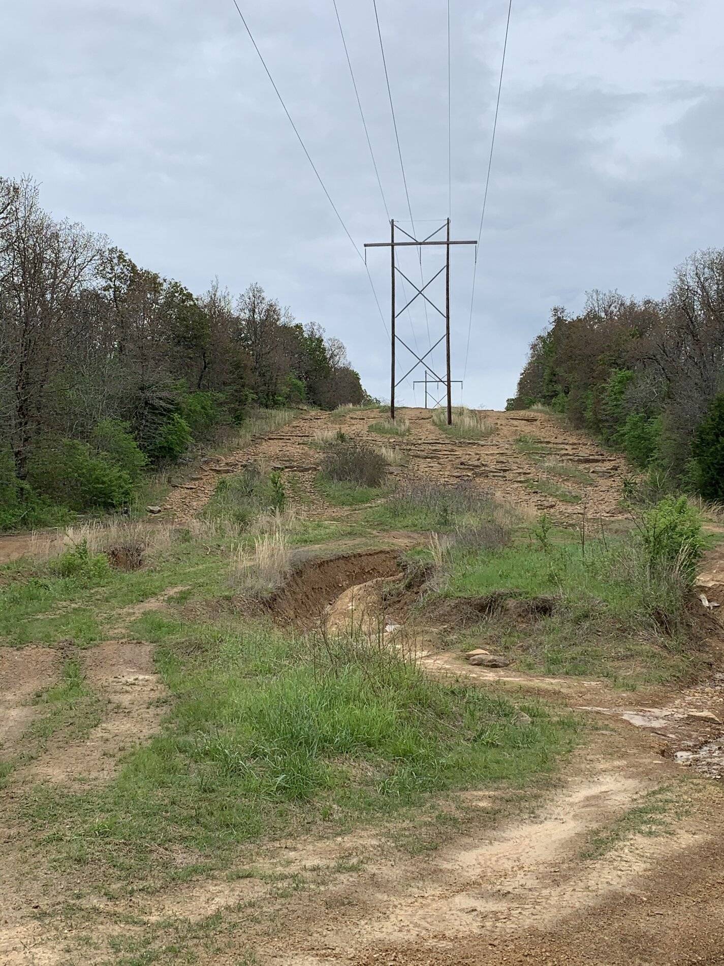 Ford Bronco Sport WHERE did you go with your Bronco Sport today? B836DCA1-DE72-46D5-9722-8987C15A2B05