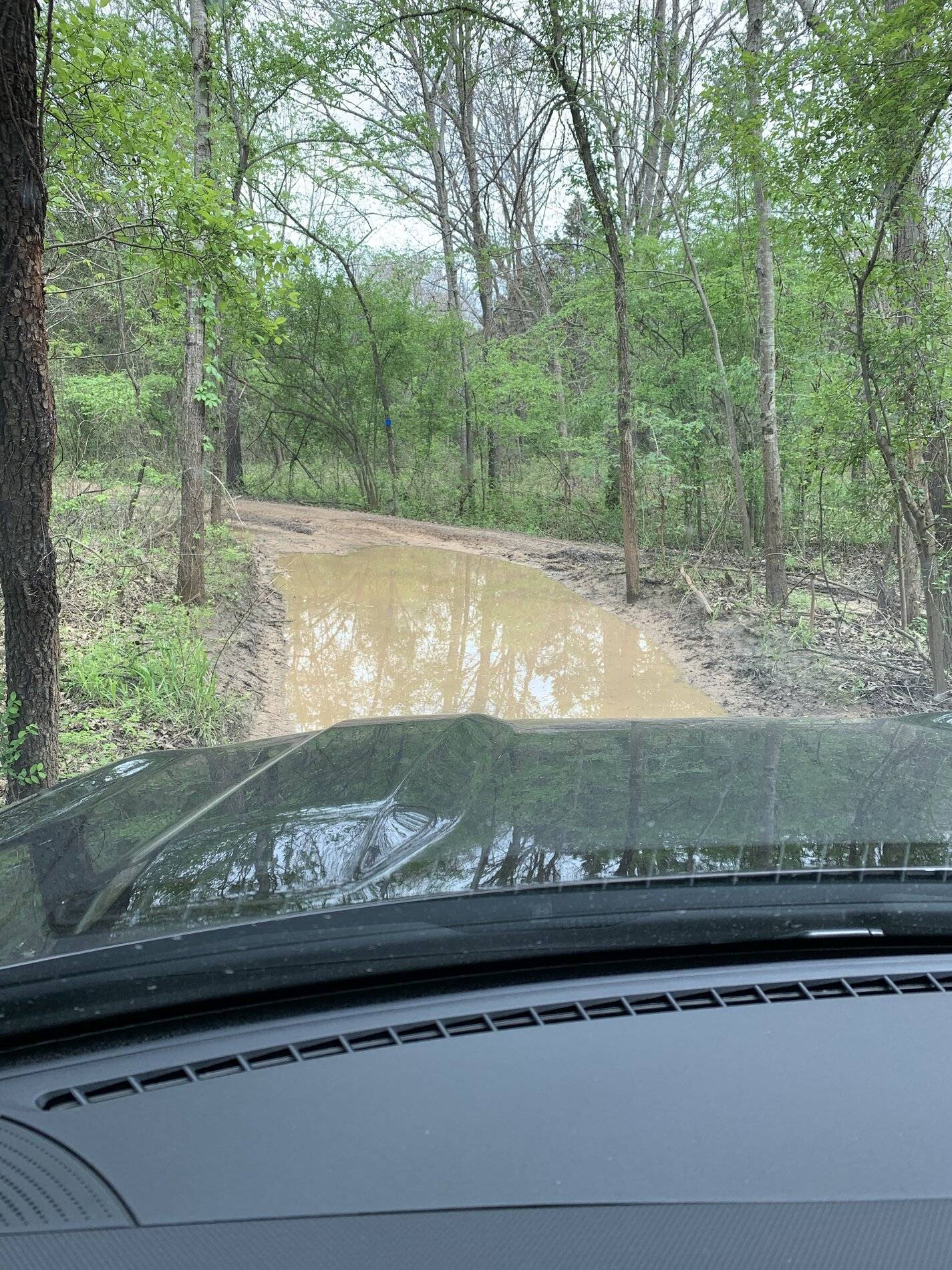 Ford Bronco Sport WHERE did you go with your Bronco Sport today? B1207BB1-5D6F-4F94-B72F-2036634B6AFD