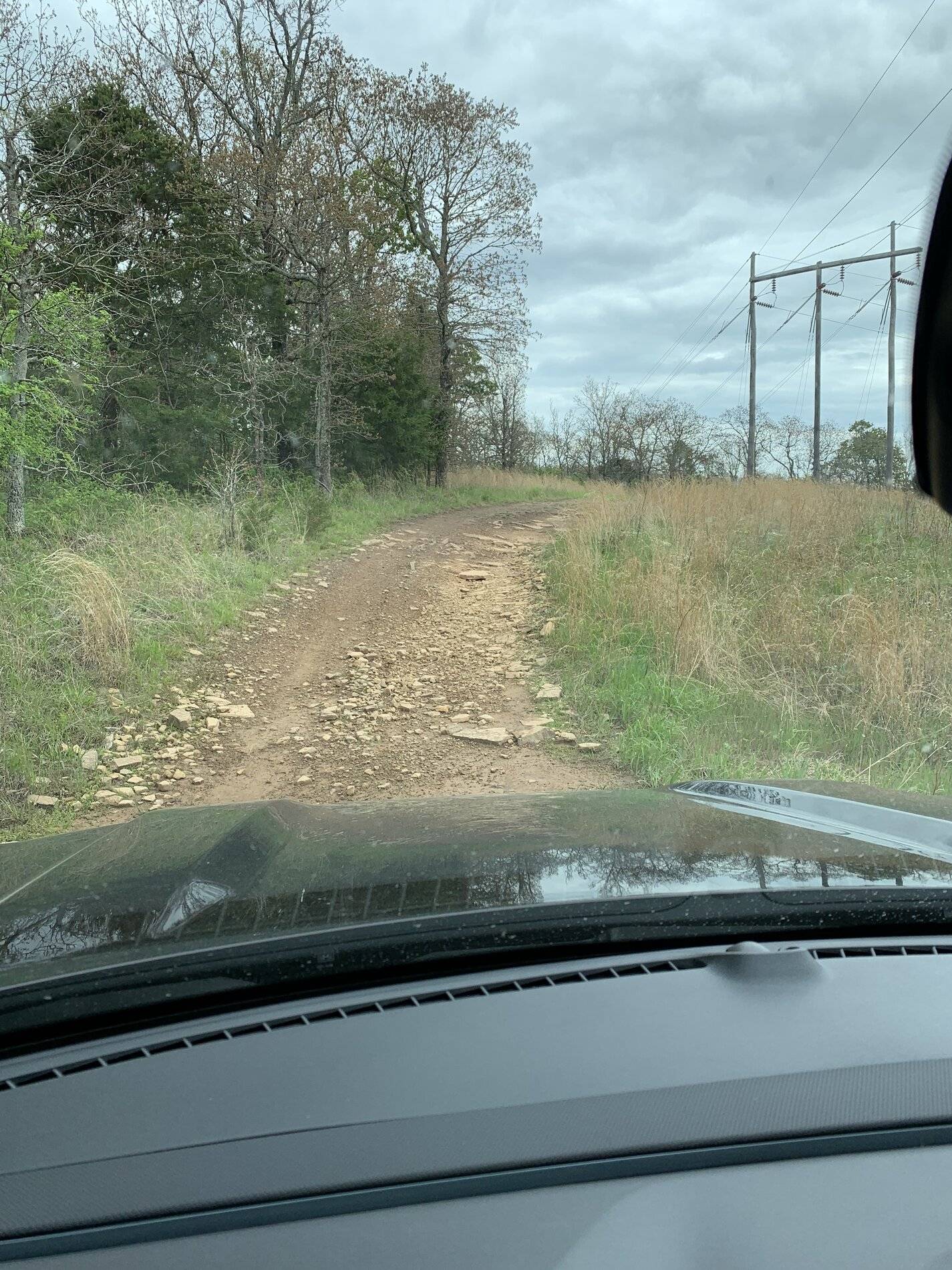 Ford Bronco Sport WHERE did you go with your Bronco Sport today? BED803E3-BE2E-4851-A9D2-15DC8086F00F