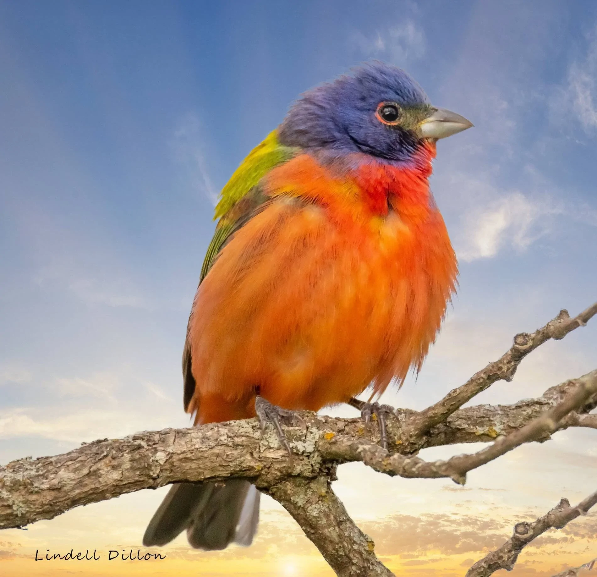Ford Bronco Sport Photos of Bronco Sports in the Wild Wichitas 085