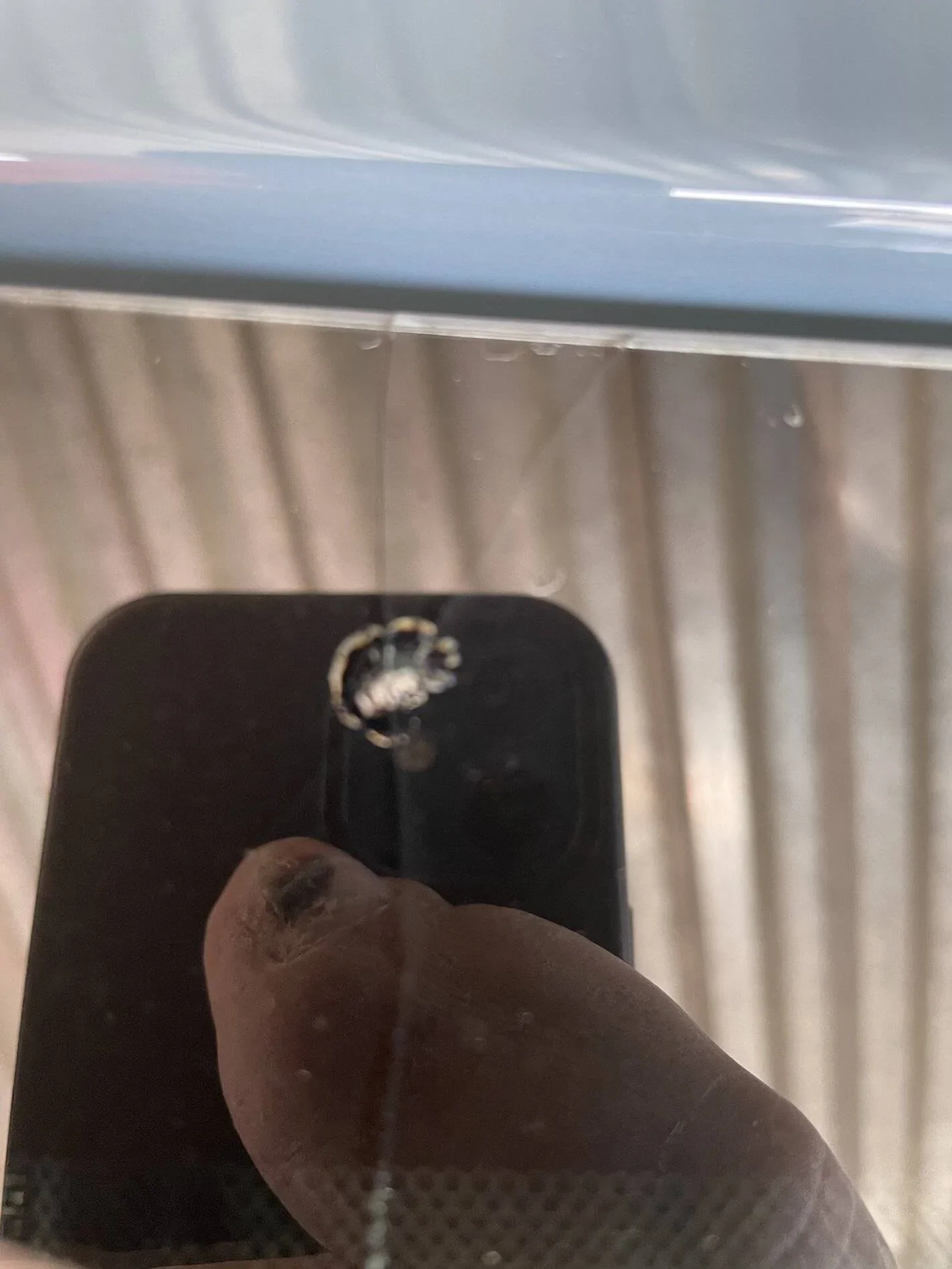 Ford Bronco Sport Rock ding on the windshield yet? 08C1620F-9D9C-402F-9EC3-5629958CAD69