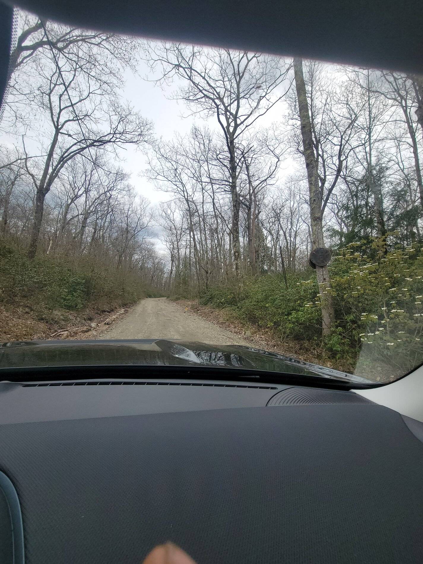 Ford Bronco Sport Post the best photos you've got of your Bronco Sport 20210509_141417