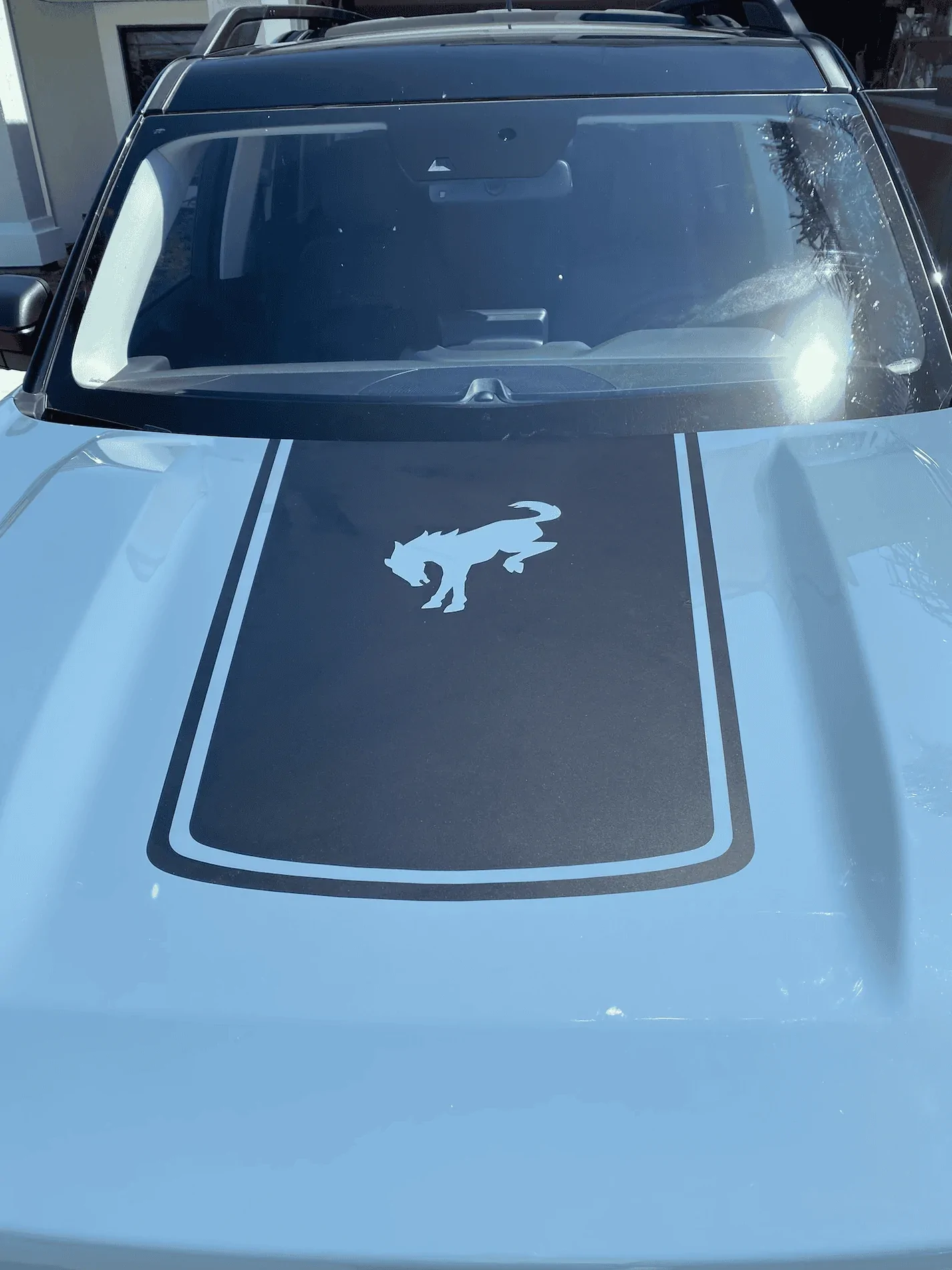 Ford Bronco Sport Did some things tonight - Hood decal and the hood protector. tempImageSCaeOL