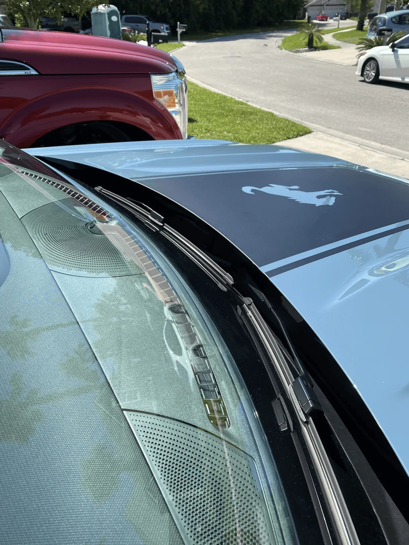 Ford Bronco Sport Did some things tonight - Hood decal and the hood protector. tempImage28lrc7