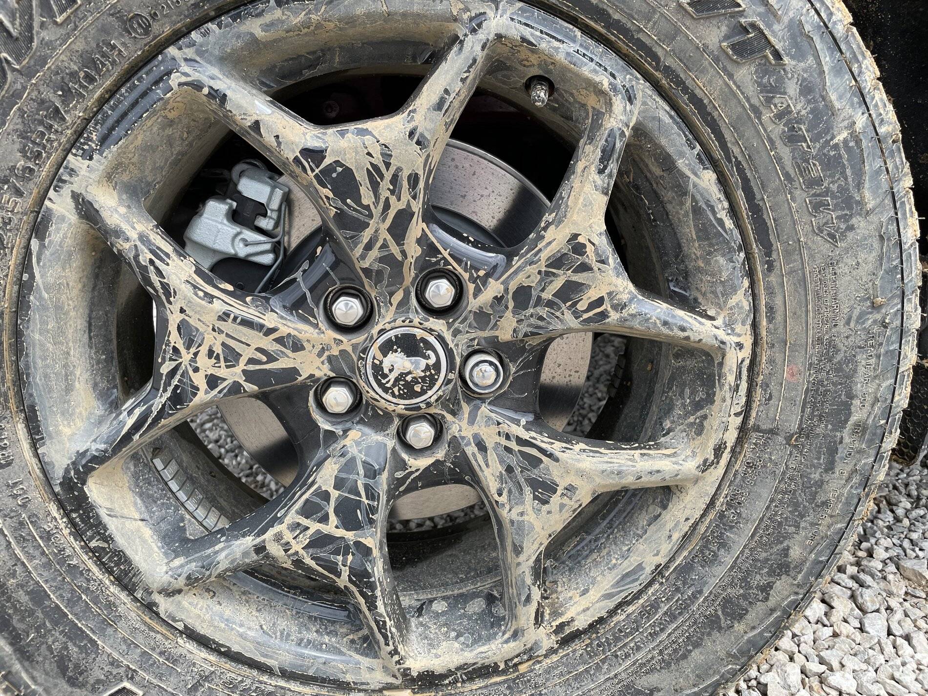 Ford Bronco Sport Off-Roading Poll IMG_1796.JPG