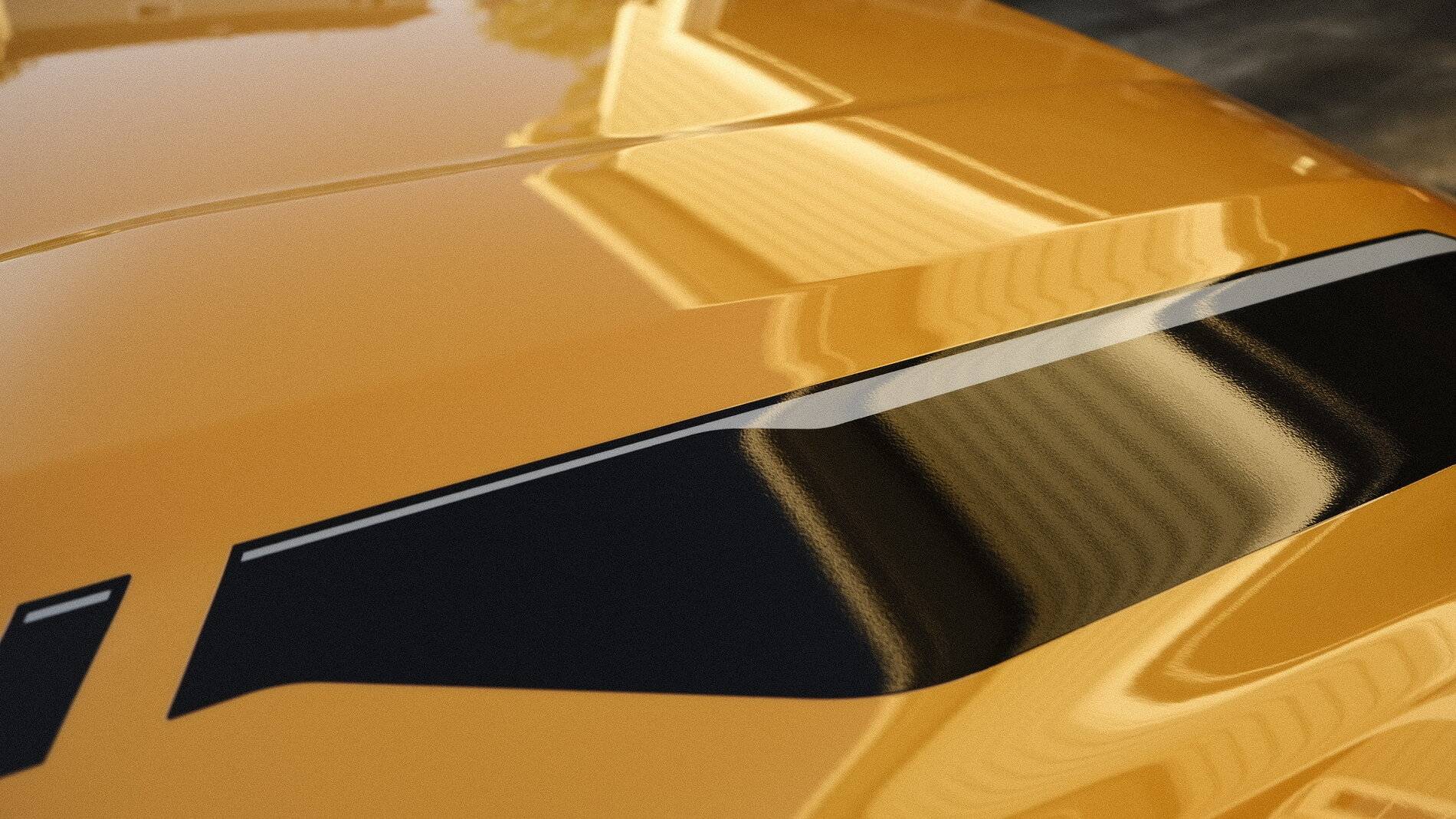 Ford Bronco Sport Wrapped the hood in XPEL and ceramic tint for the sunroof C9008F46-64AC-4ADB-BFA8-171DDEED80F4-451-0000000C6EA44180.JPG