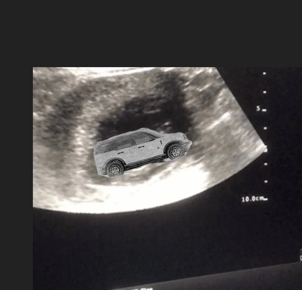 Ford Bronco Sport Photo album of my BS FE ZomboMeme 12042021110157