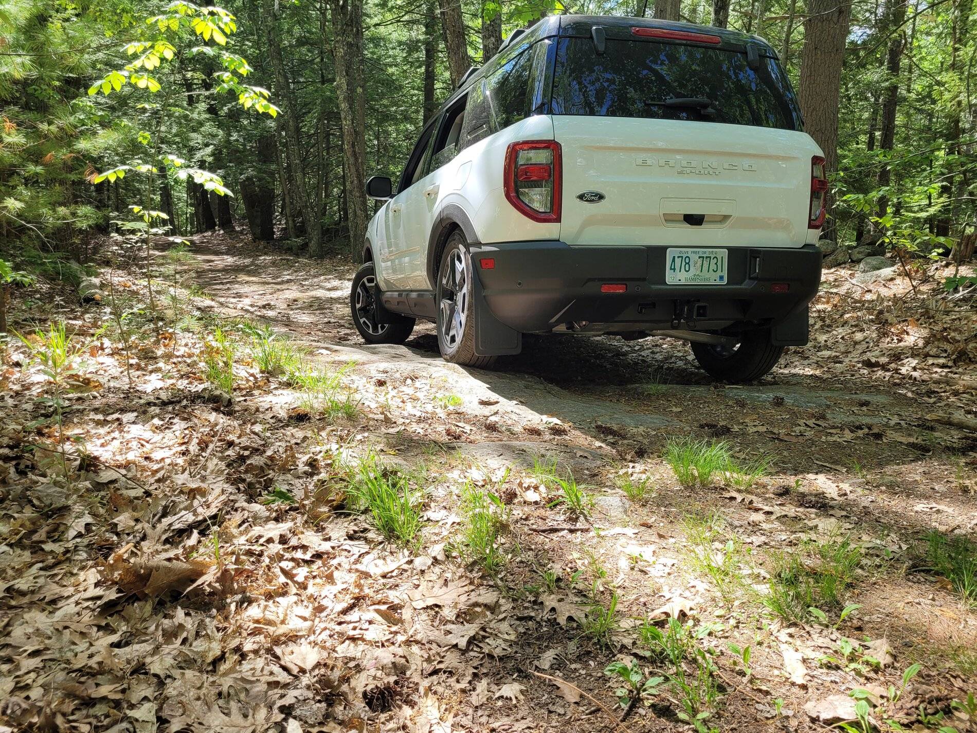 Ford Bronco Sport Off-Roading Poll 20210525_152938