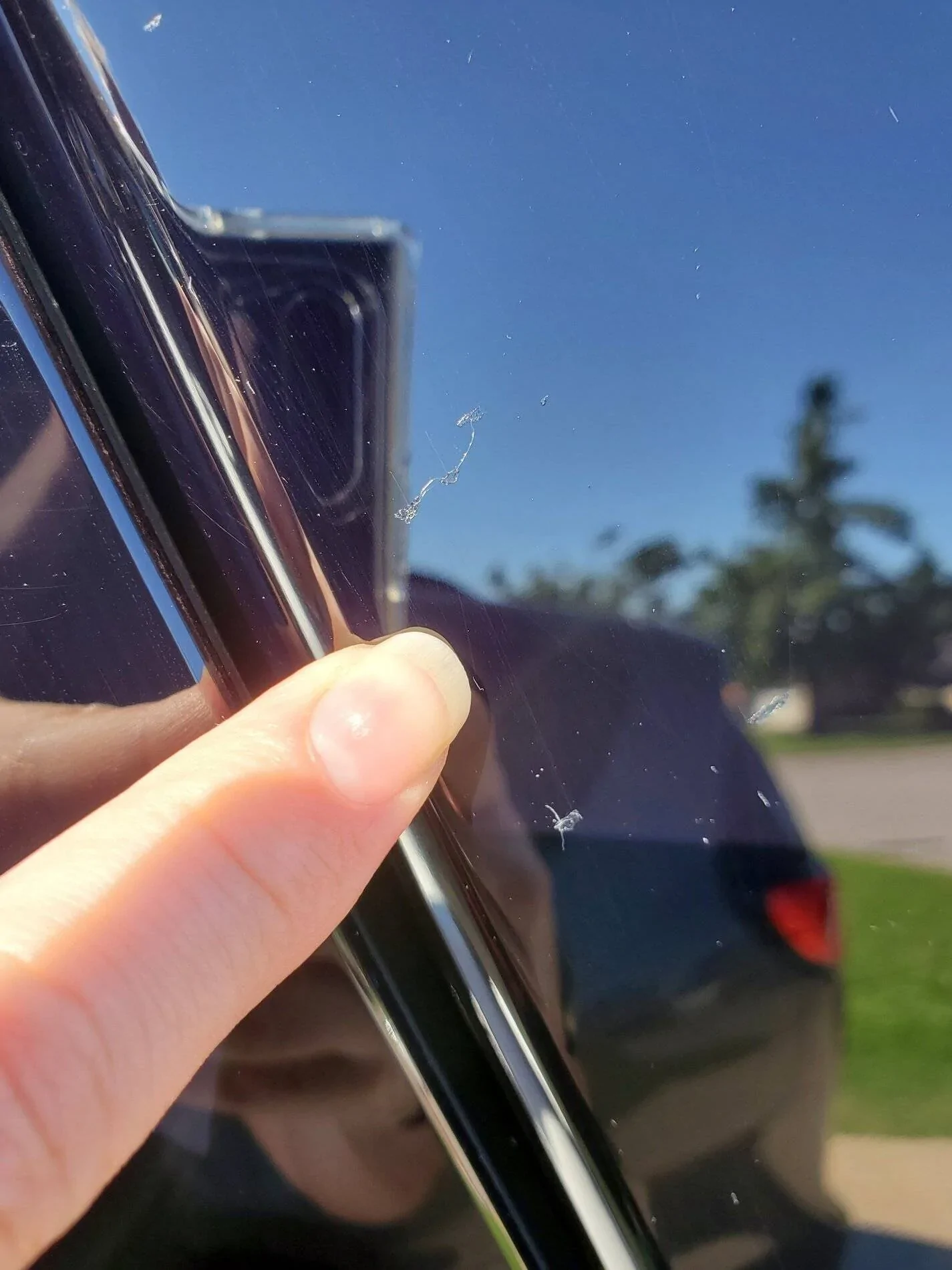 Ford Bronco Sport Ford's appearance shield? 20210529_101016