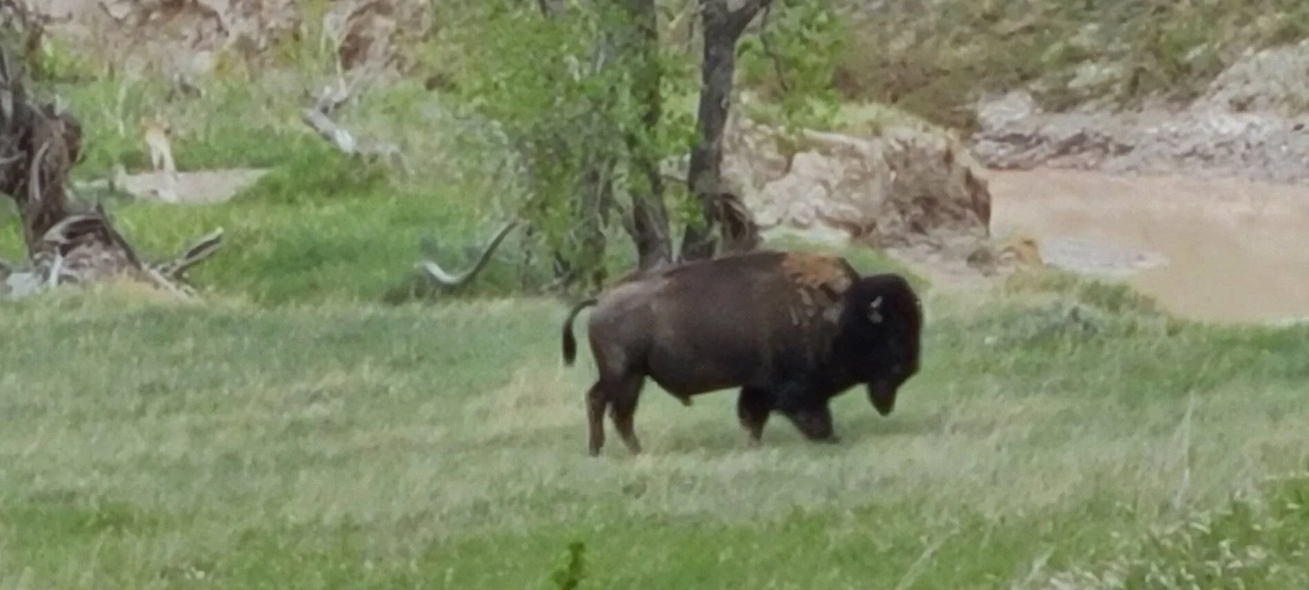 Ford Bronco Sport Trip through the Badlands and Black Hills of SD with my BS FE. 20210529_134027
