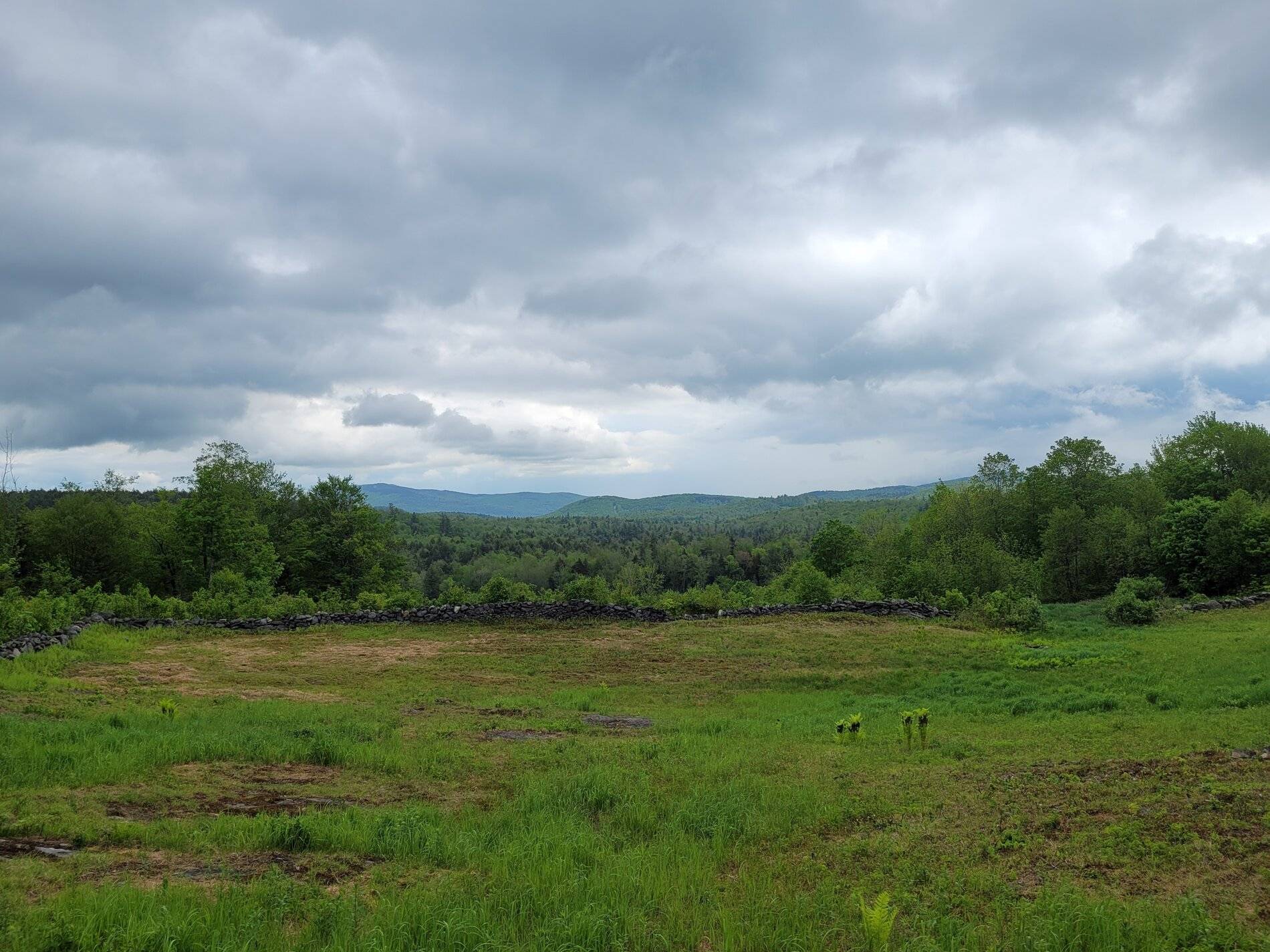 Ford Bronco Sport WHERE did you go with your Bronco Sport today? 20210523_125025