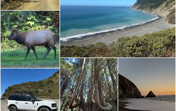 California Sinkyone Wilderness State Park with Bronco Sport Badlands